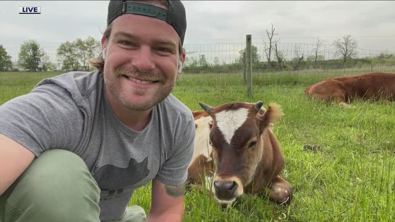 The Barn Sanctuary is now open for summer visitors