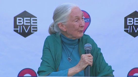 Dr. Jane Goodall discusses empowering kids in South LA