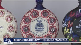 Mixing cultures with Tequila Mandala