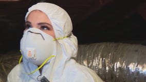 Jenn at Work: Getting rid of rats