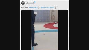 Met Gala cockroach steals the show at red carpet