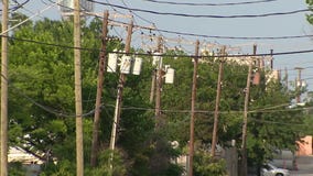Hundreds of power poles in LA in need of immediate repairs