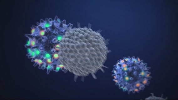 Another Covid strain brings reason for precautions as case numbers rise