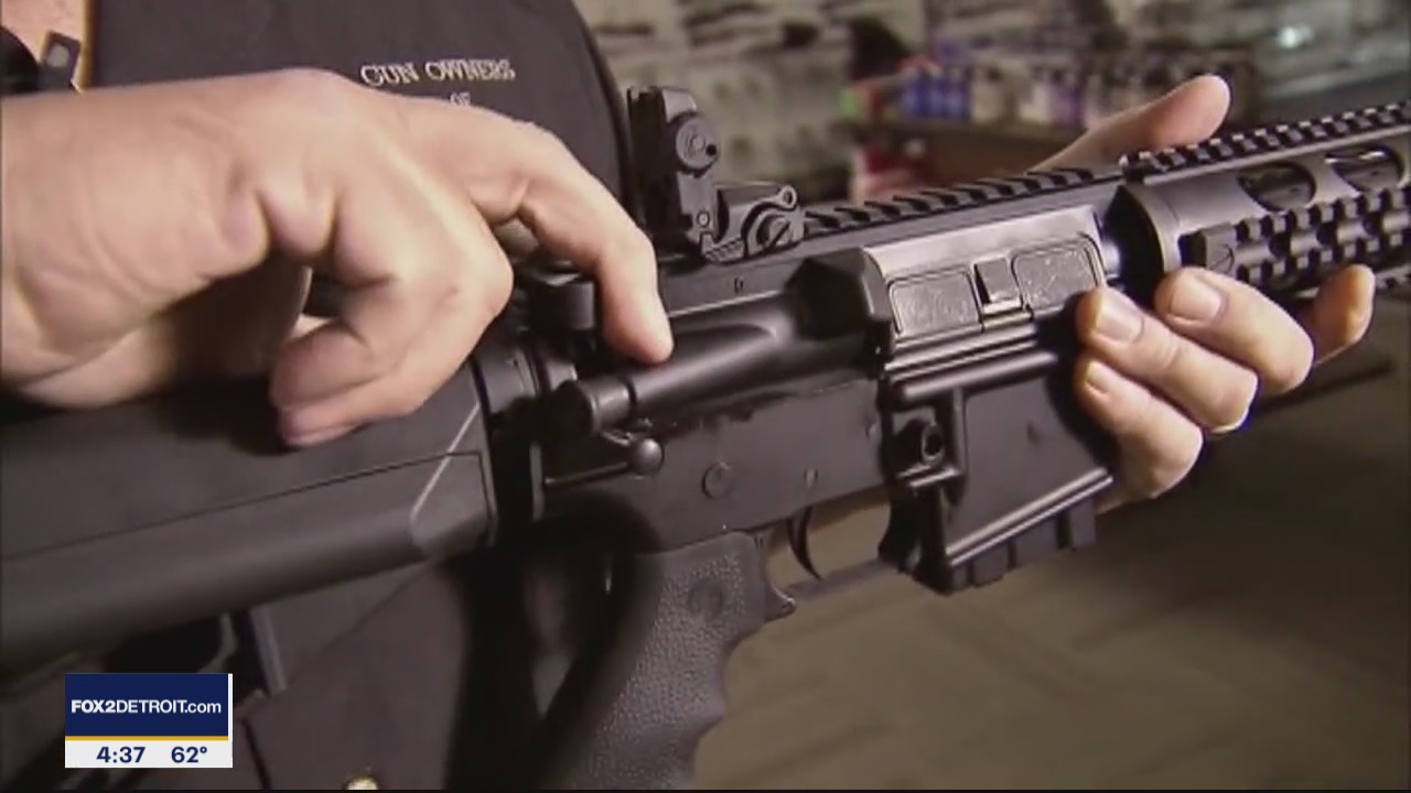 Detroit Voice 2 Voice: The National Outcry for Stricter Gun Laws