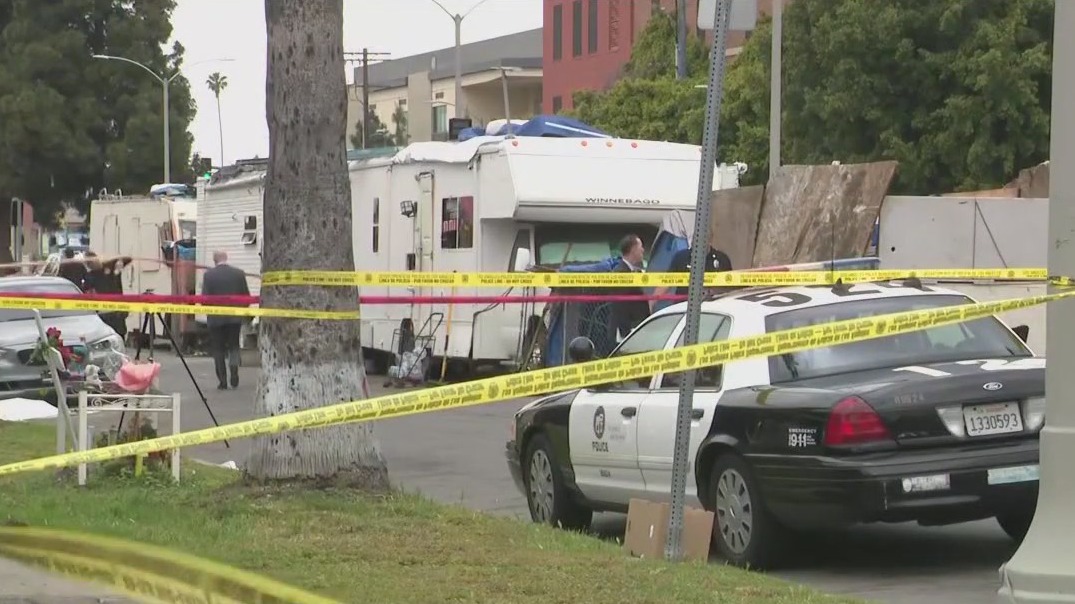 Pit bull accused of biting person shot by LAPD