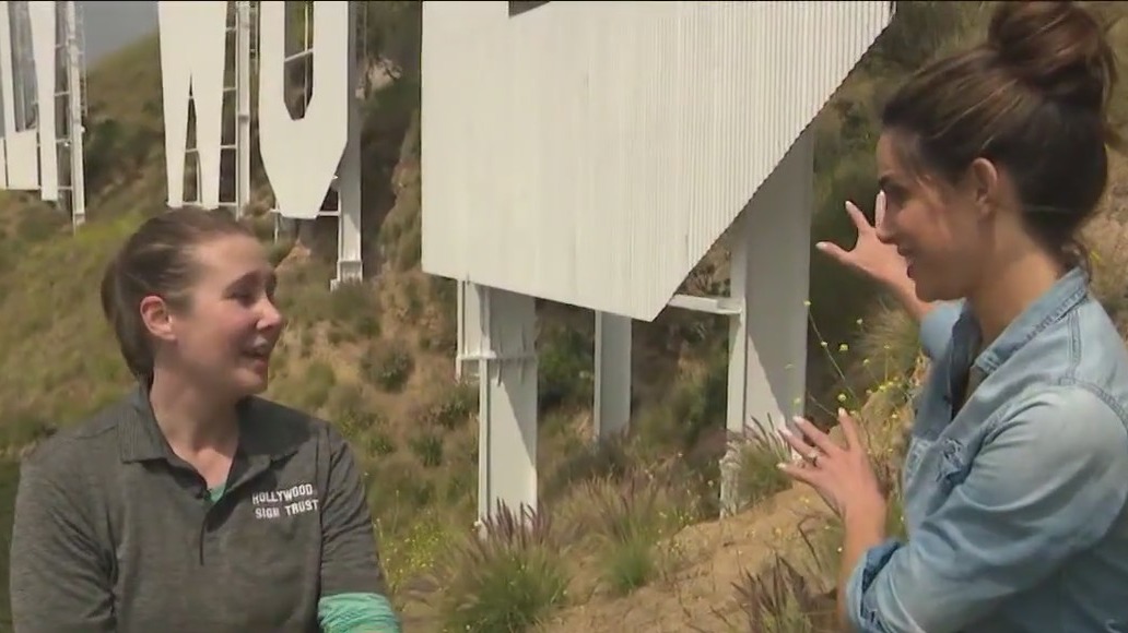 Jenn At Work: Fixing the Hollywood Sign