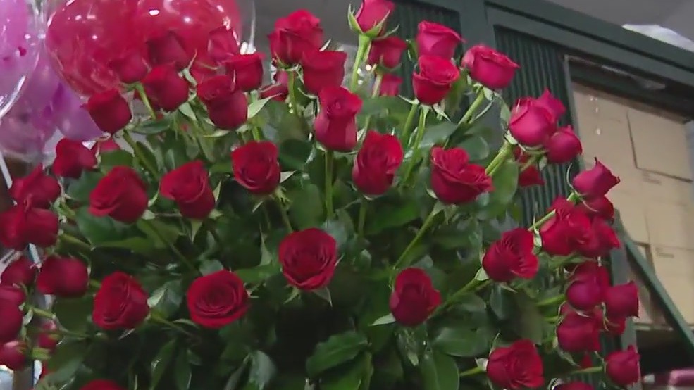 Flower ideas for Mother's Day