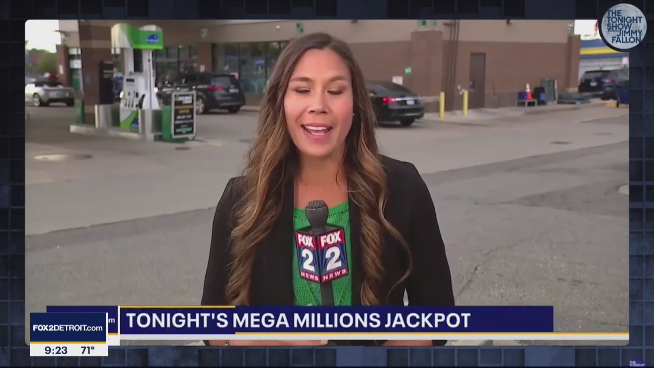 What were your odds of winning the Mega Millions?