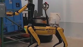 LA City Council to vote on robot dog