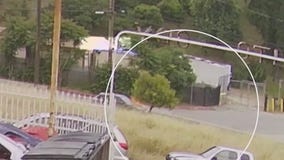 Suspected serial arsonist caught on camera