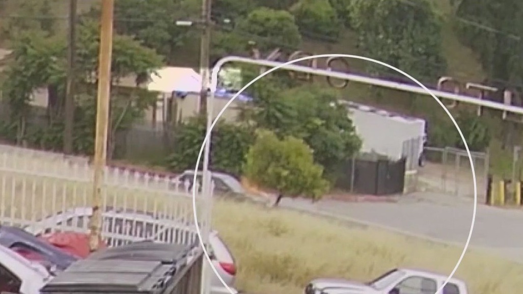 Suspected serial arsonist caught on camera