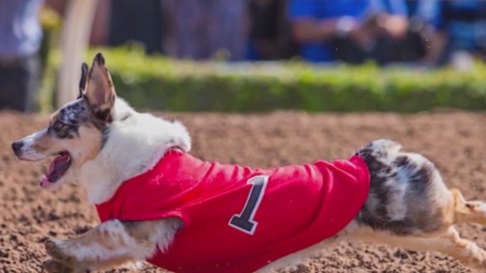 Memorial Day Weekend events happening in LA