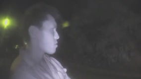 Stranger roaming Hollywood Hills neighborhood