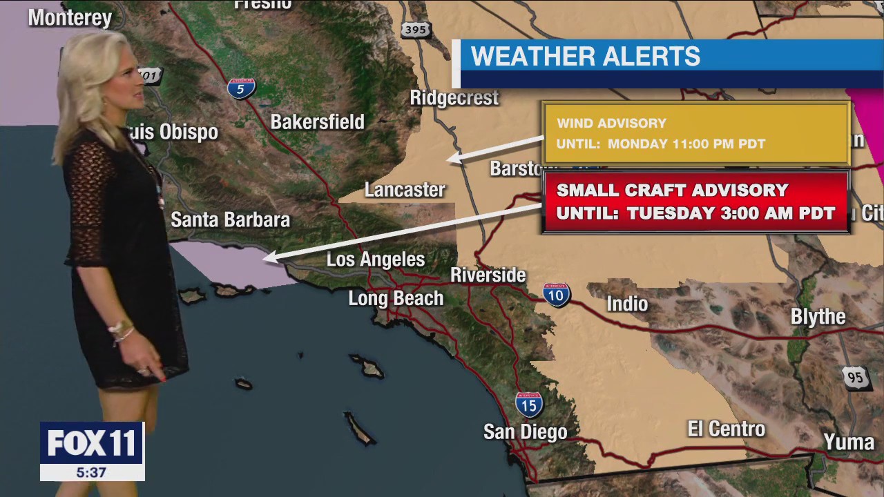 Weather Forecast for Monday, June 19