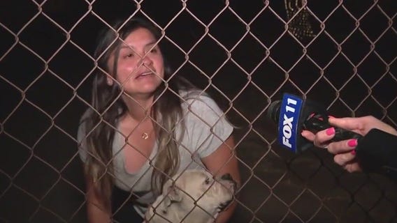 Dog rescued in Perris fire