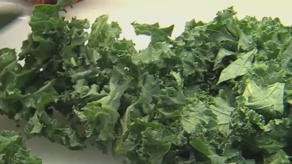 Most kale contains 'disturbing' levels of 'forever chemicals'