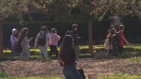 Affirmative action ruling's impact on colleges