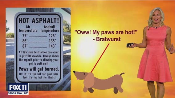 Weather forecast for Monday, July 10