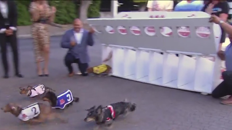 "And the wiener is..."