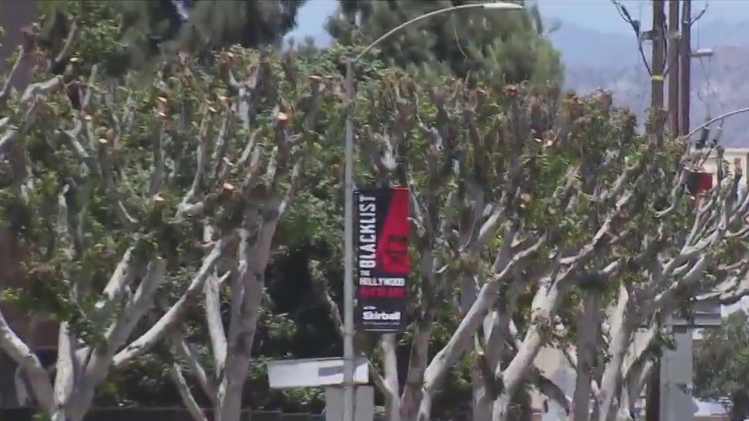 Universal fined for trimming trees