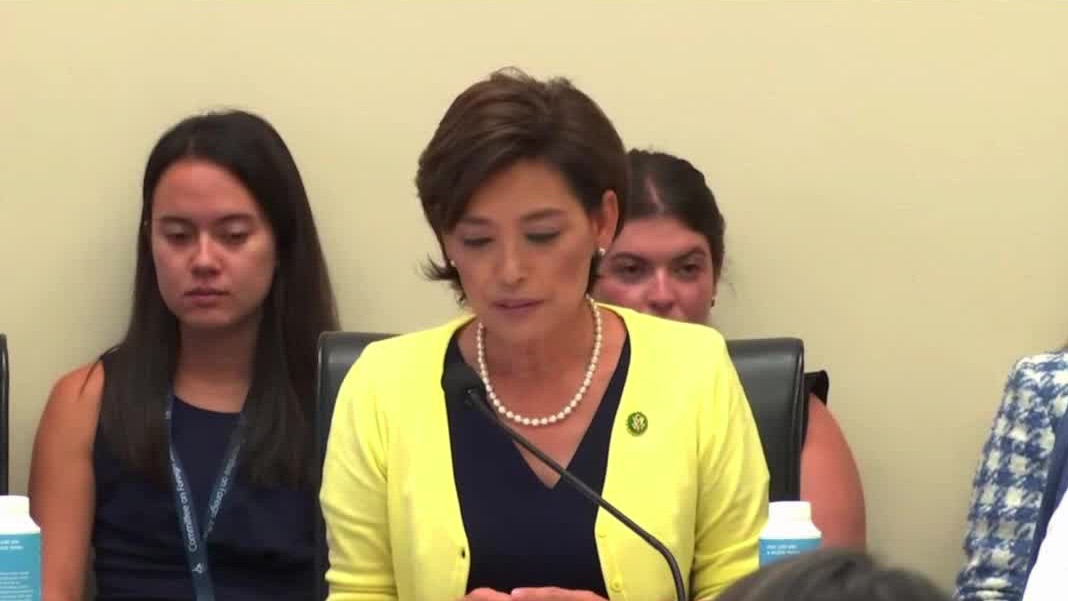 Rep. Young Kim on US-Korea relations, bringing Eyvin Hernandez home