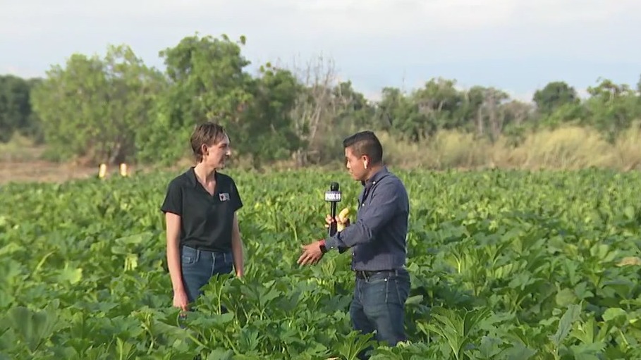 'Week of Caring' kicks off in Irvine