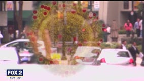 The Doctor Is In: Flu cases on the rise