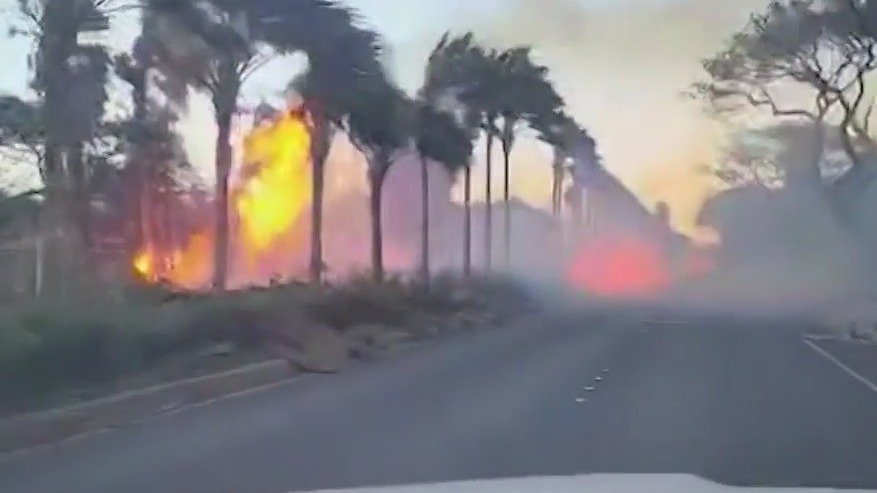 Maui  community coming together to help