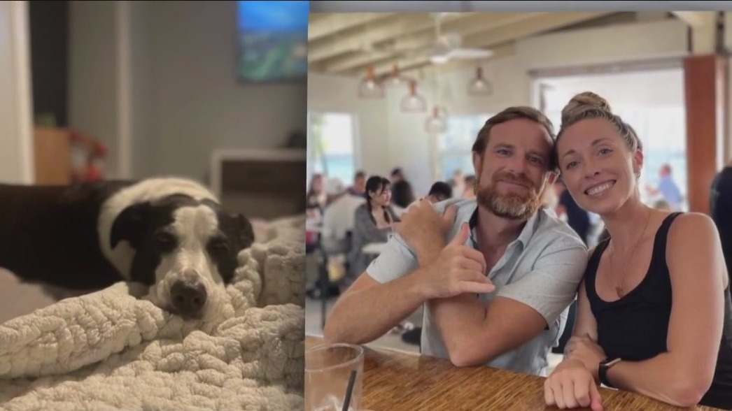 Maui fire survivors lose everything in wildfires