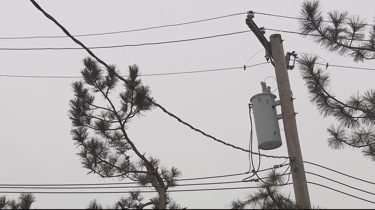 Heavy winds knock out power during winter storm | FOX 2 Detroit