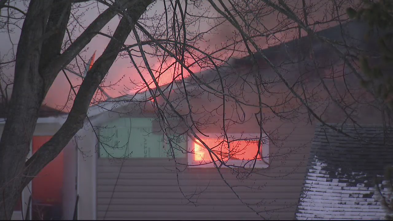 Chesterfield family loses pets after fire destroys home | FOX 2 Detroit