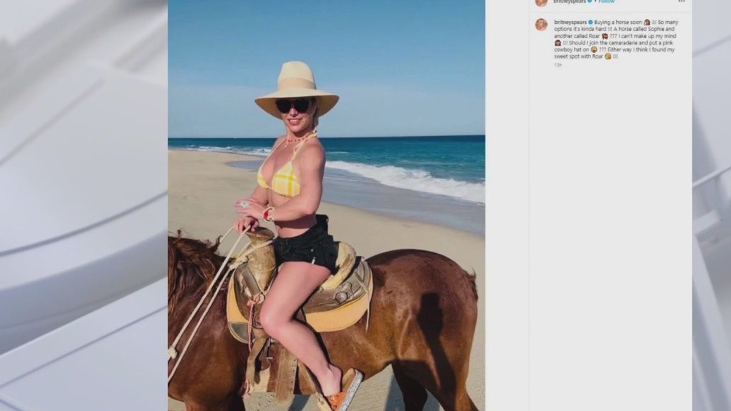 Britney Spears divorce updates