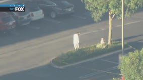 Man walks in circles in OC standoff