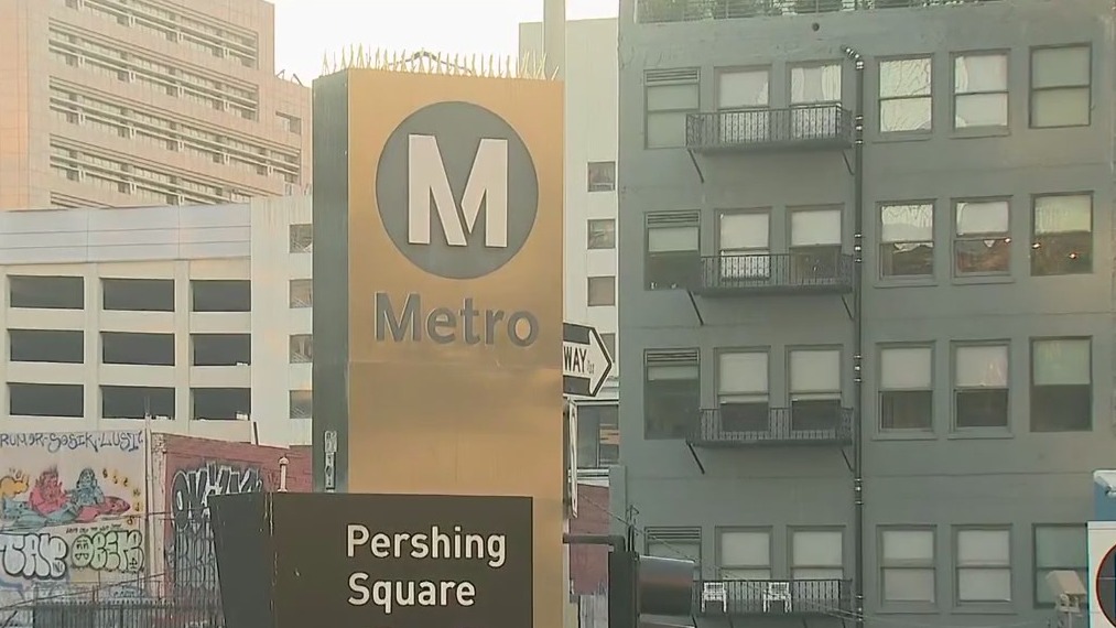 Man stabbed to death on Metro train