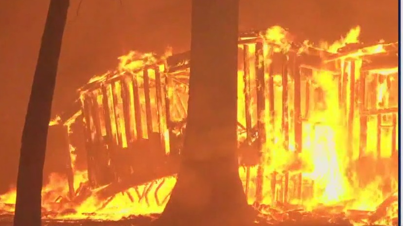 Wildfire Preparation