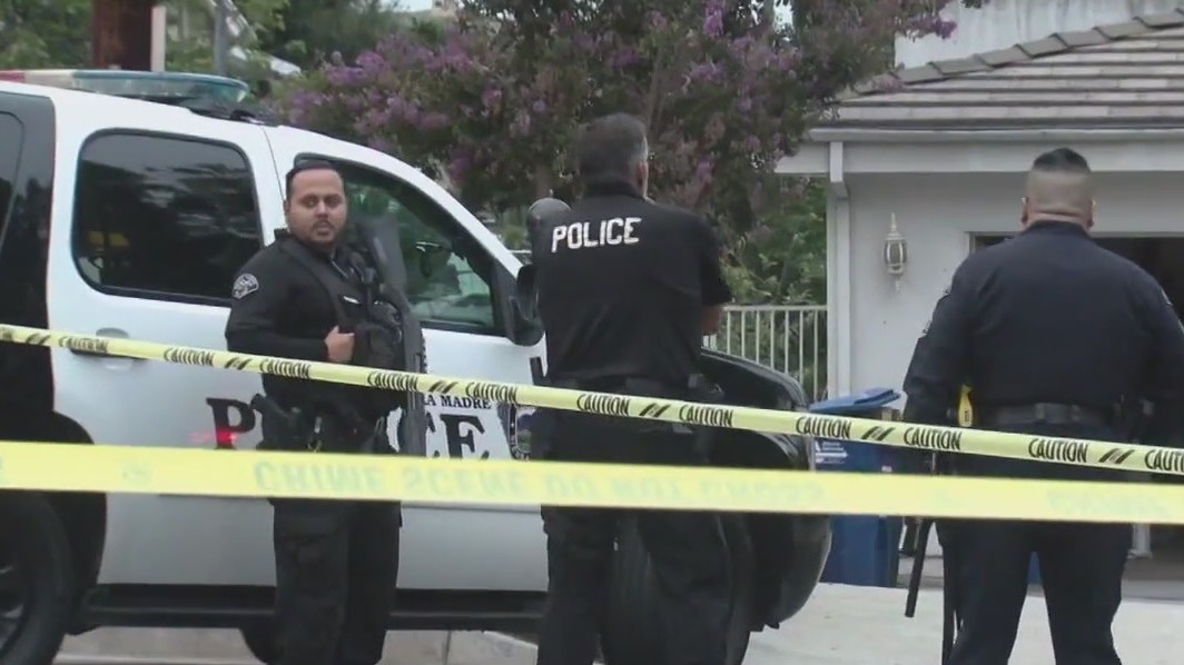 Bear accused of breaking into home