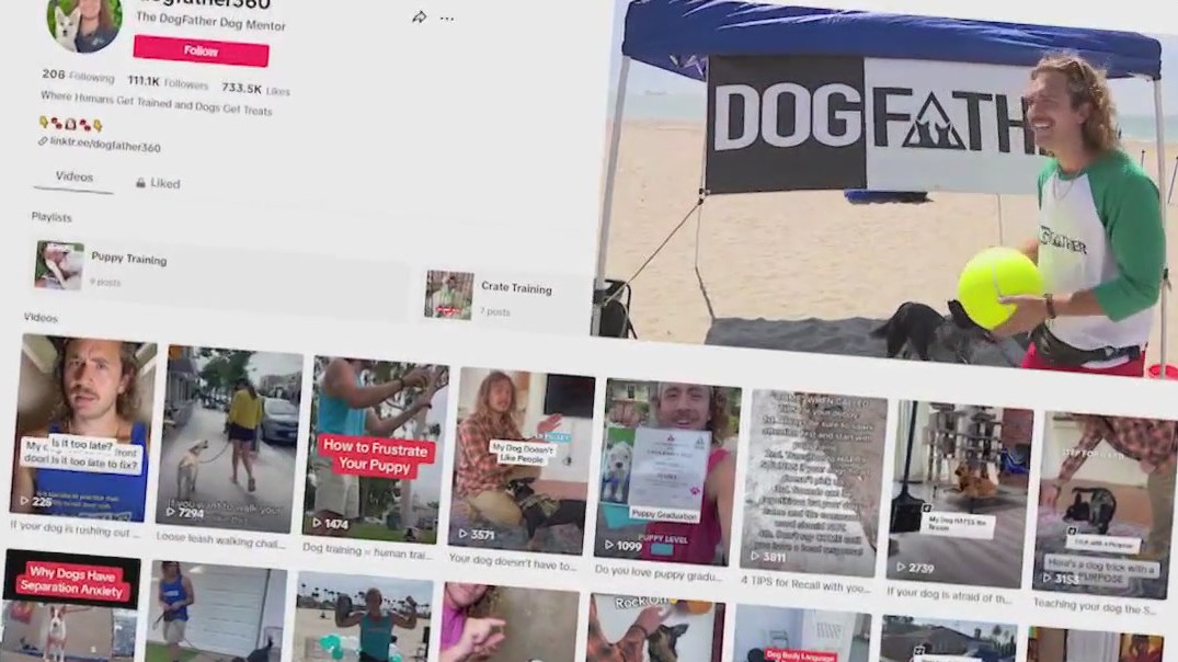 Meet the DogFather of Long Beach