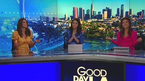 'Niche manifestations' account goes viral