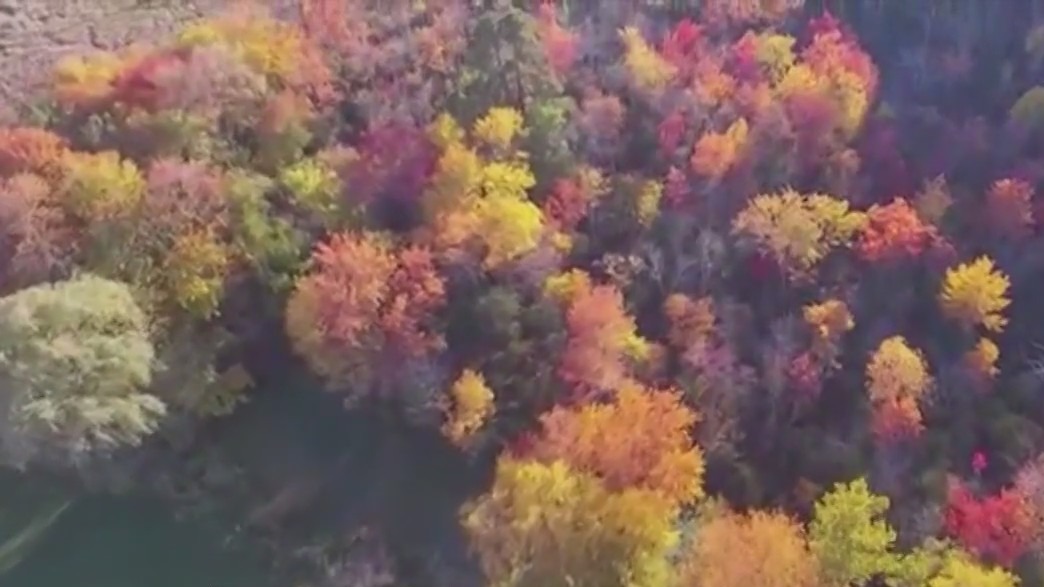 Man pushing for five seasons instead of four