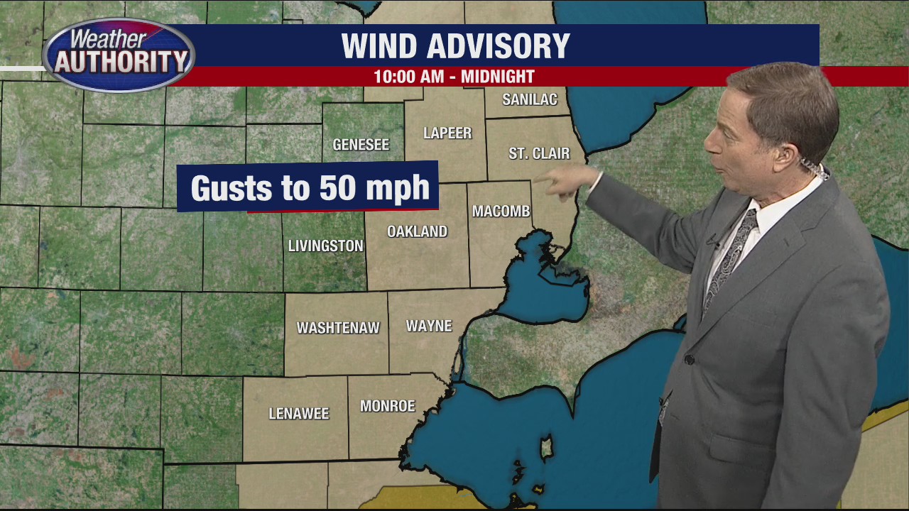 Windy weather in metro Detroit causes outages | FOX 2 Detroit