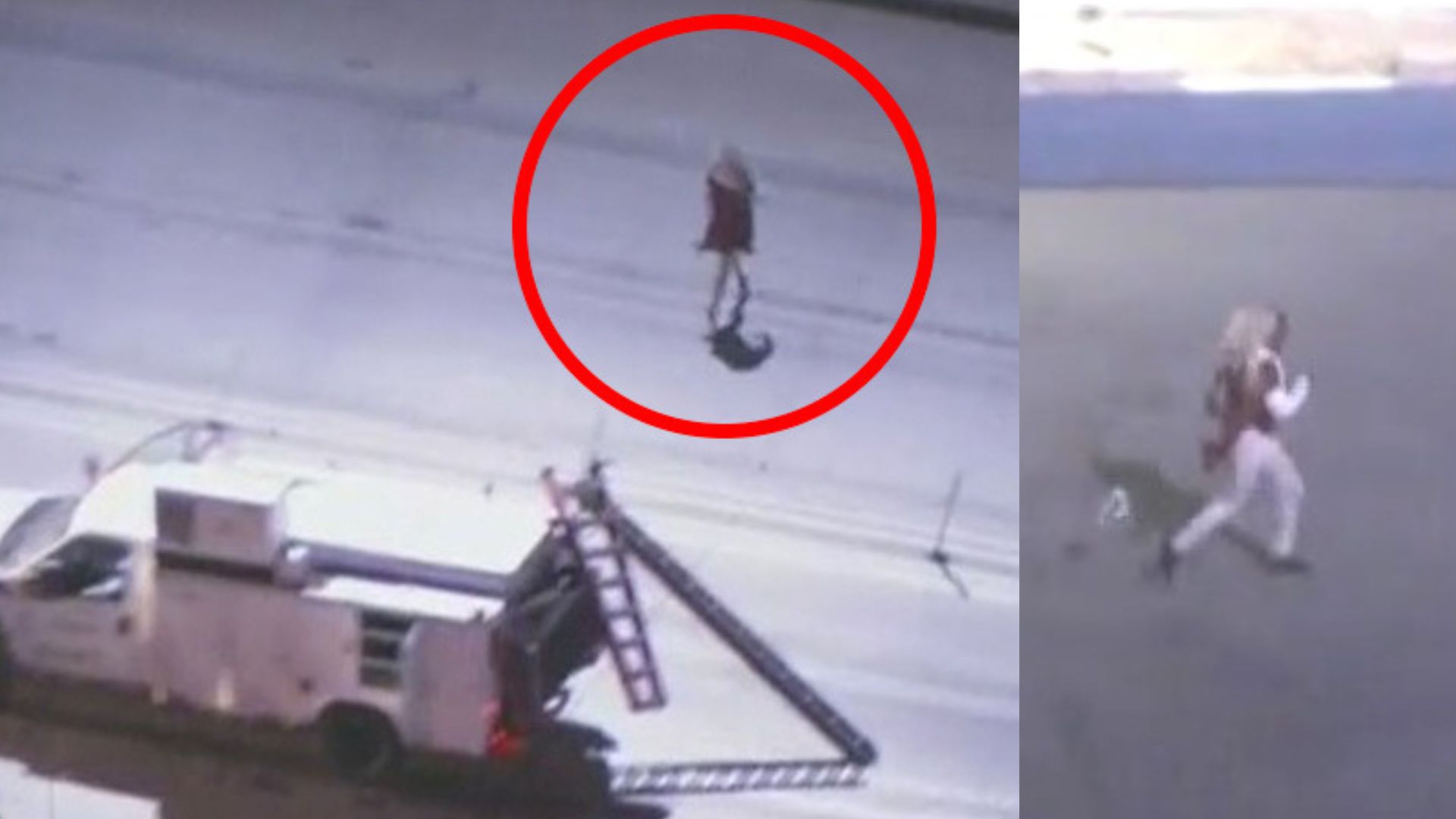 Police chase suspect plays real-life 'Frogger,' loses wig racing to Denny's