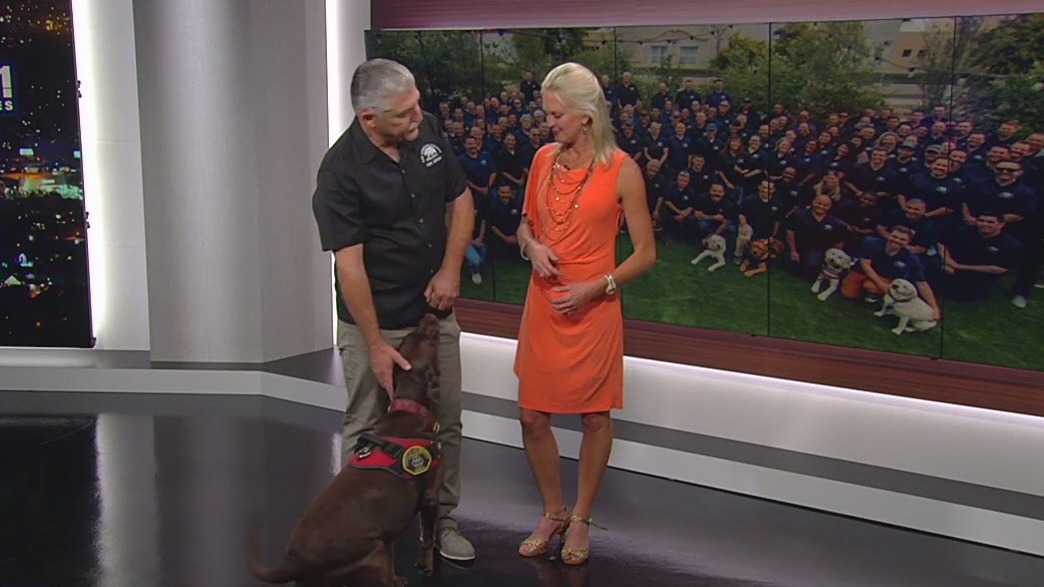LA County FD peer support dogs