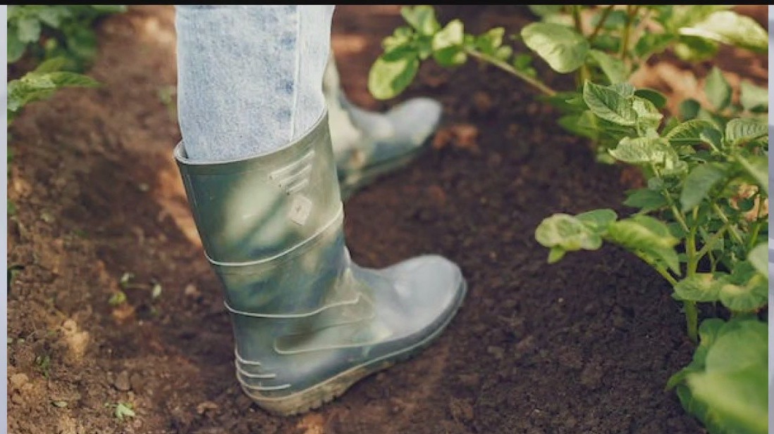 Garden prepping: When is it time to ready the flower beds for new plants?