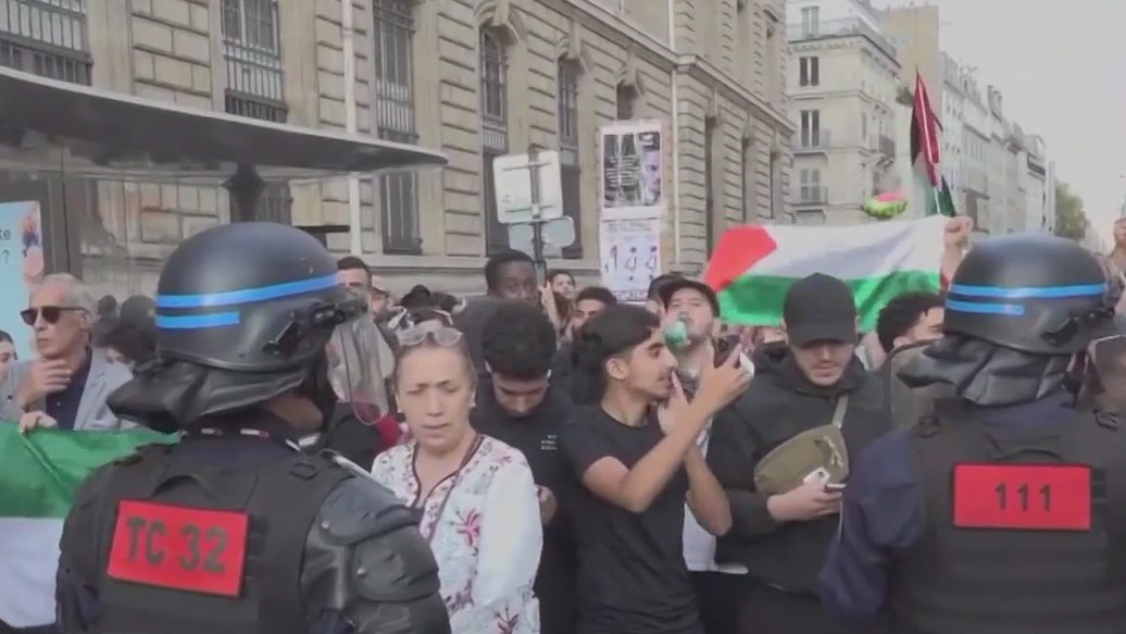 Police get involved in Palestine protests in Paris