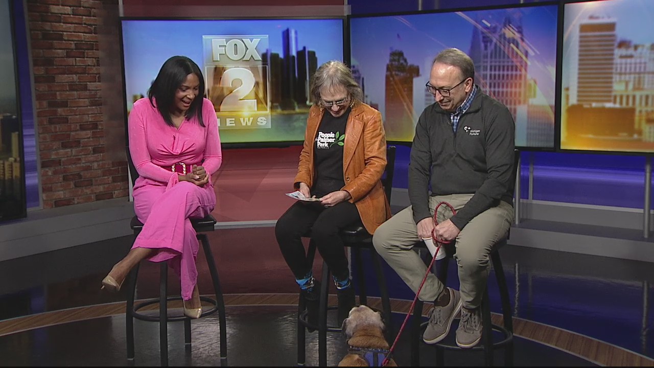 Palmer Park to host annual doggie health and wellness fair