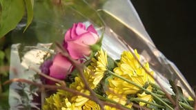 4 Pepperdine women killed in PCH Malibu crash