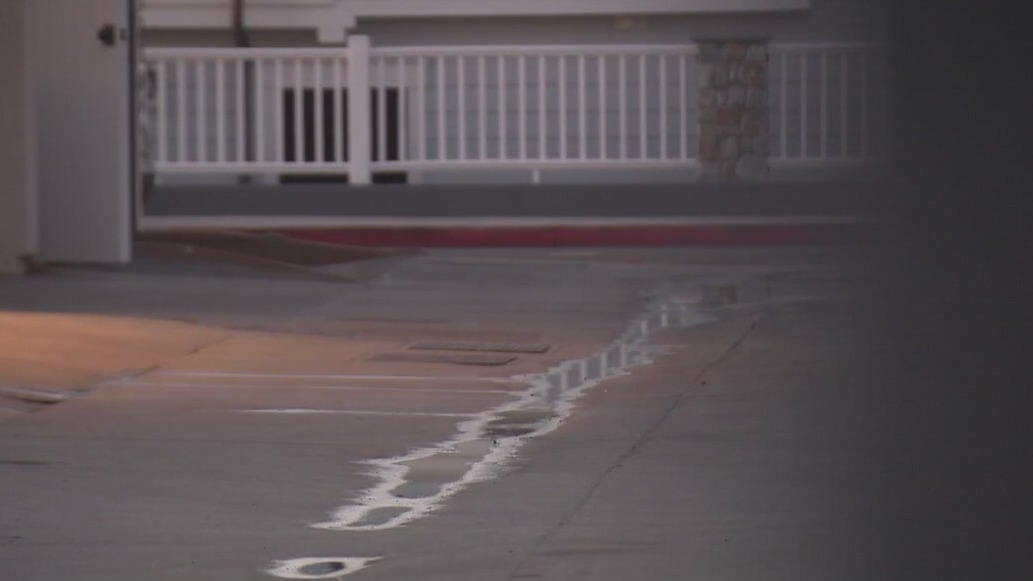 Father, daughter accused of murder, robbery