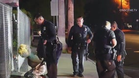 Woman arrested in series of suspicious fires