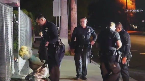 Woman arrested in series of suspicious fires