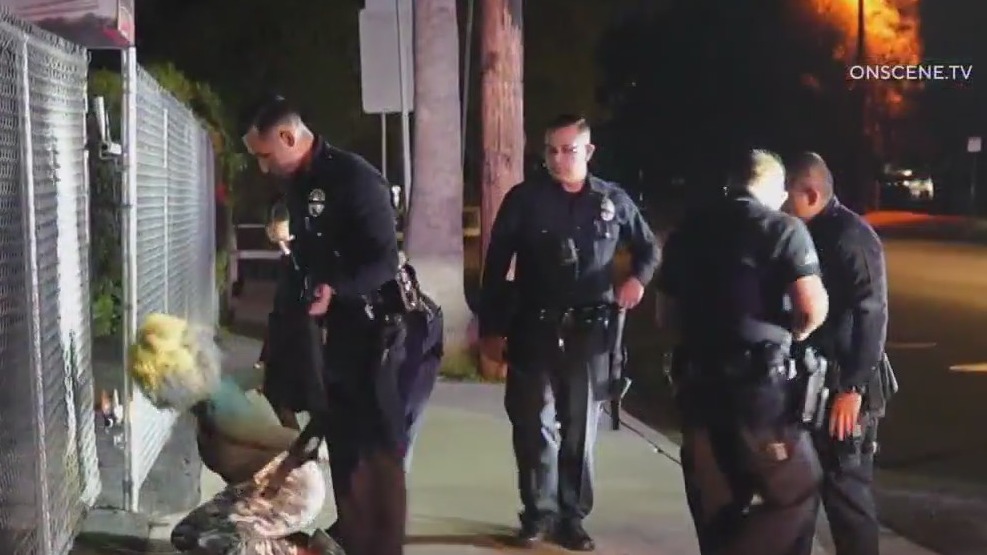 Woman arrested in series of suspicious fires